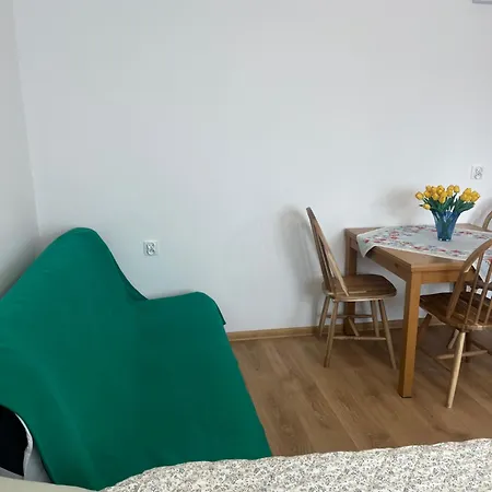 Pod Orzechem Apartment *