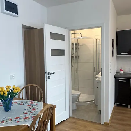 Apartment Pod Orzechem Zbaszyn